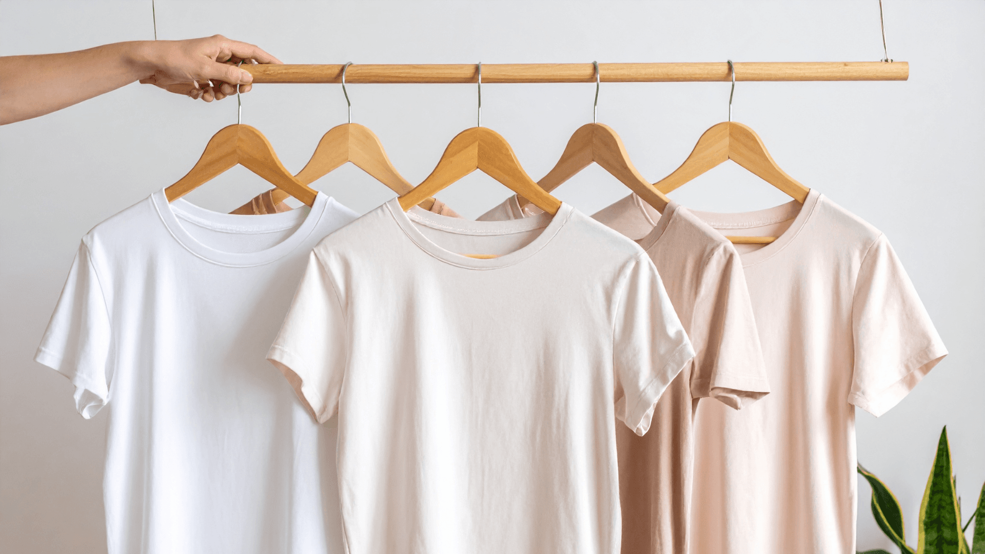 Camisetas y Tops · Mujer